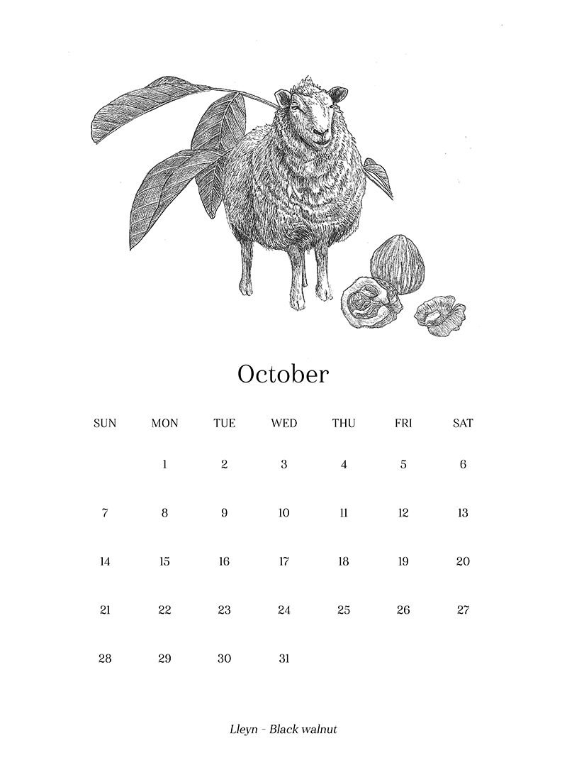 Sheep_Calendar_oct.png
