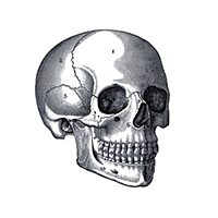 skull_icon_200x200.png