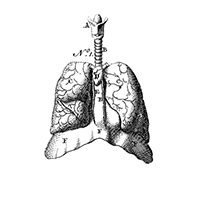 lungs_icon_200x200.png