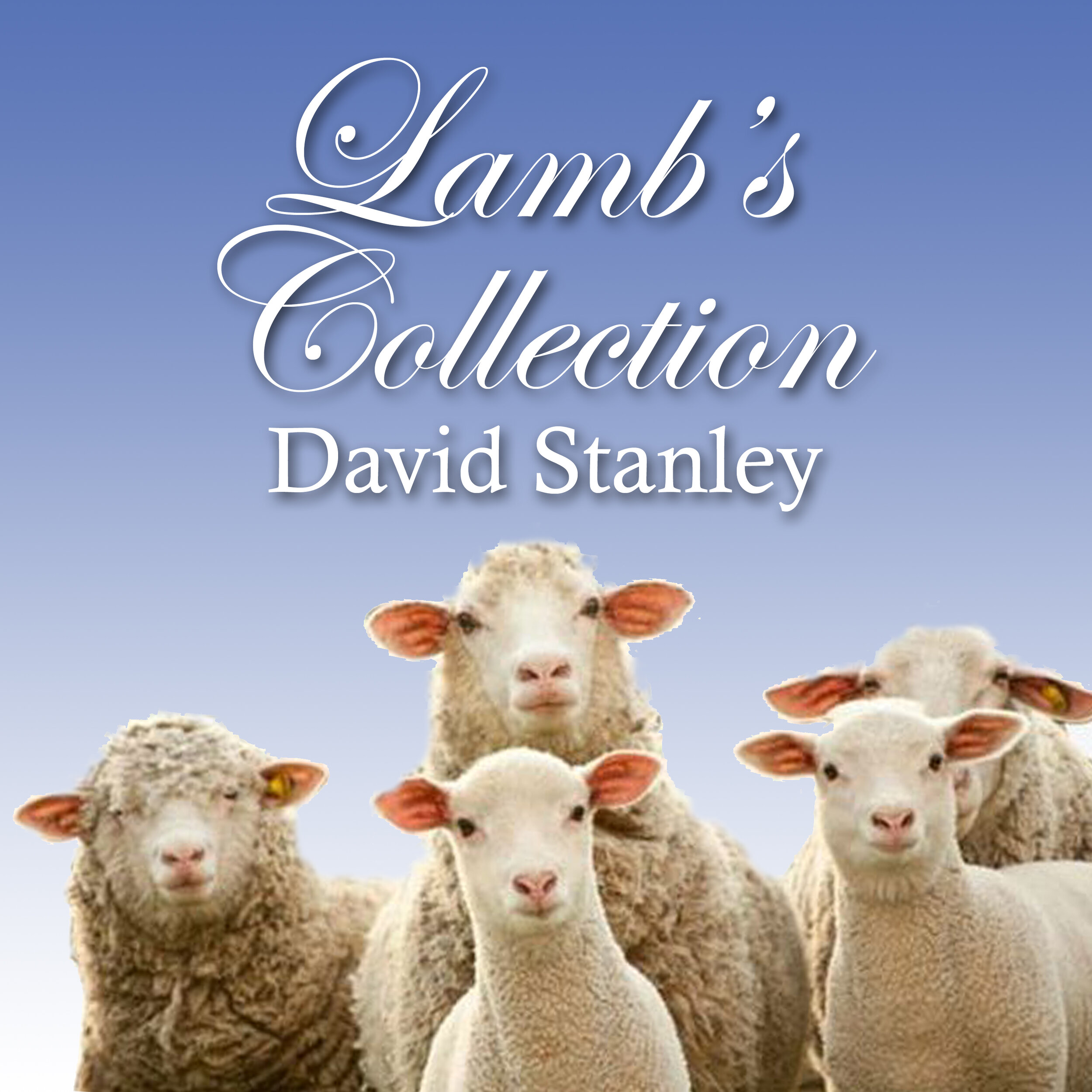 Lambs Collection 2.jpg