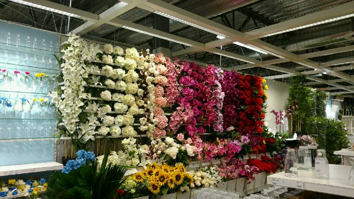 Flower Wall