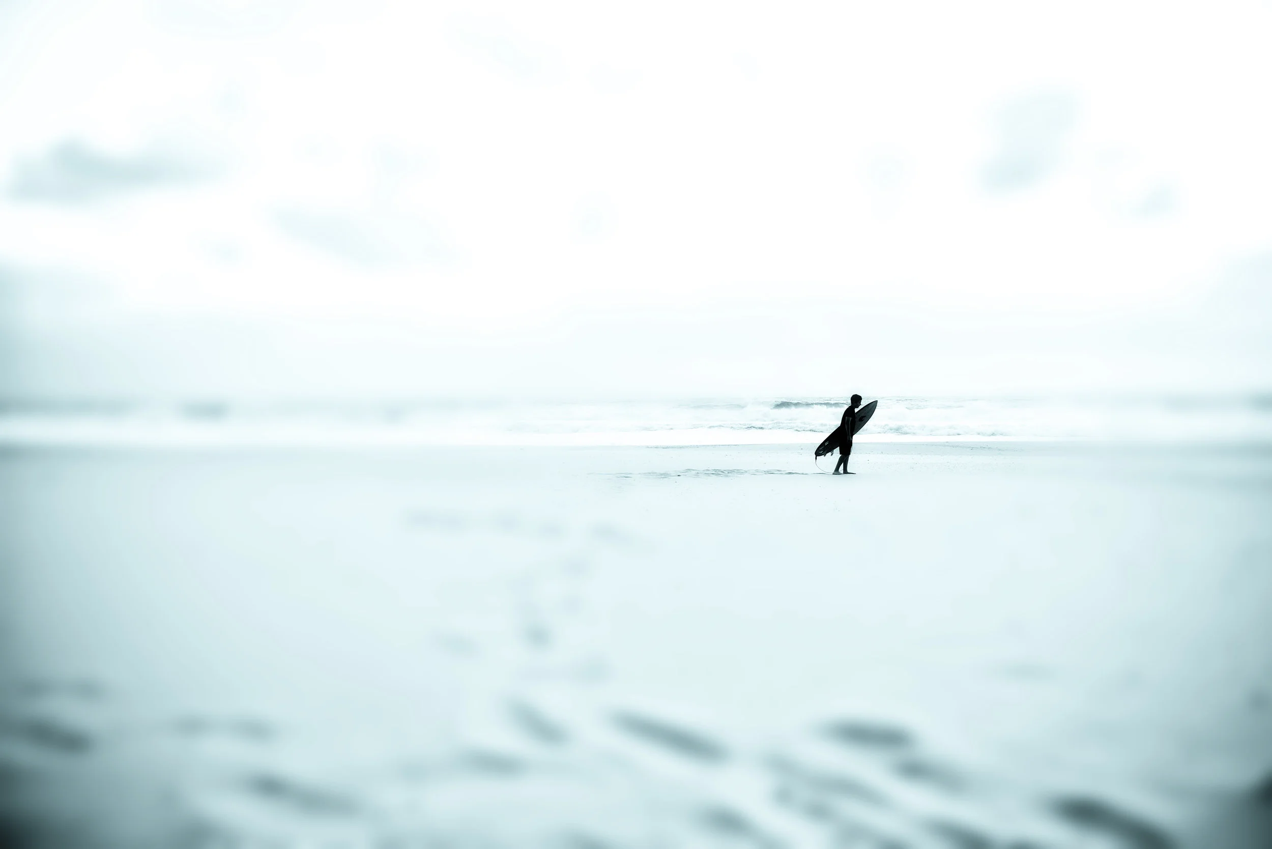 DSC_3924 copy copy.jpg