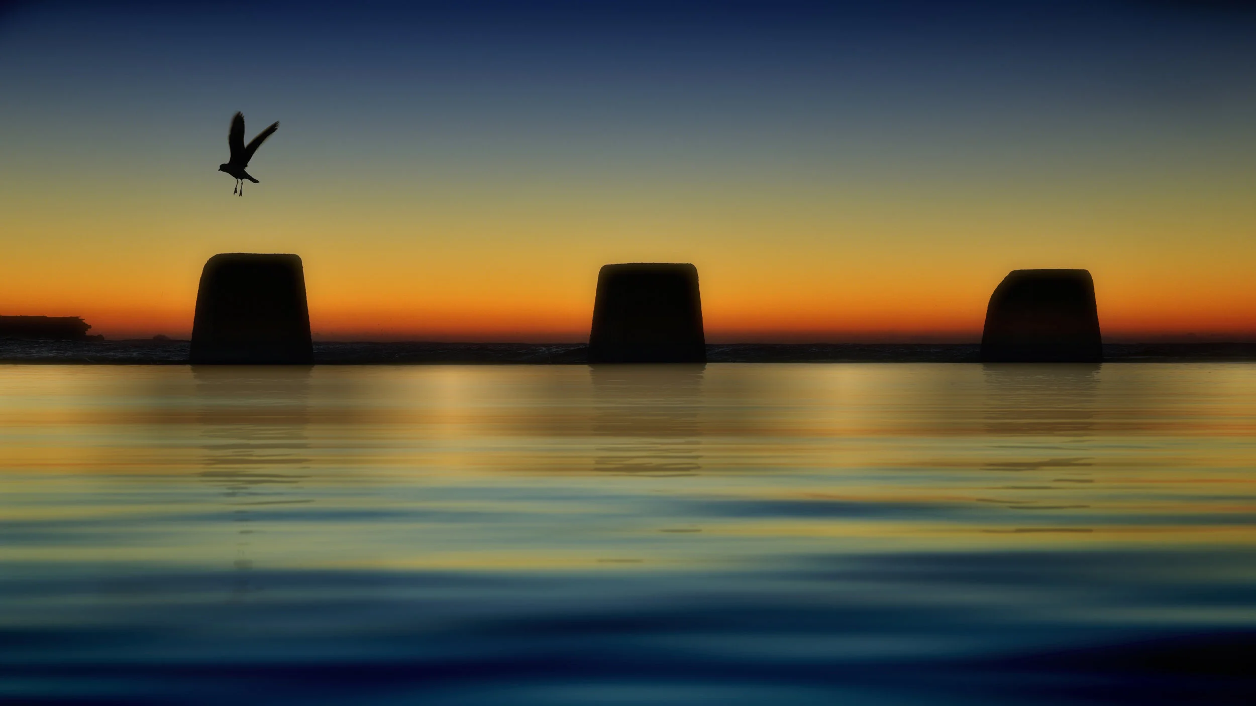 DSC_0265 copy copy s.jpg