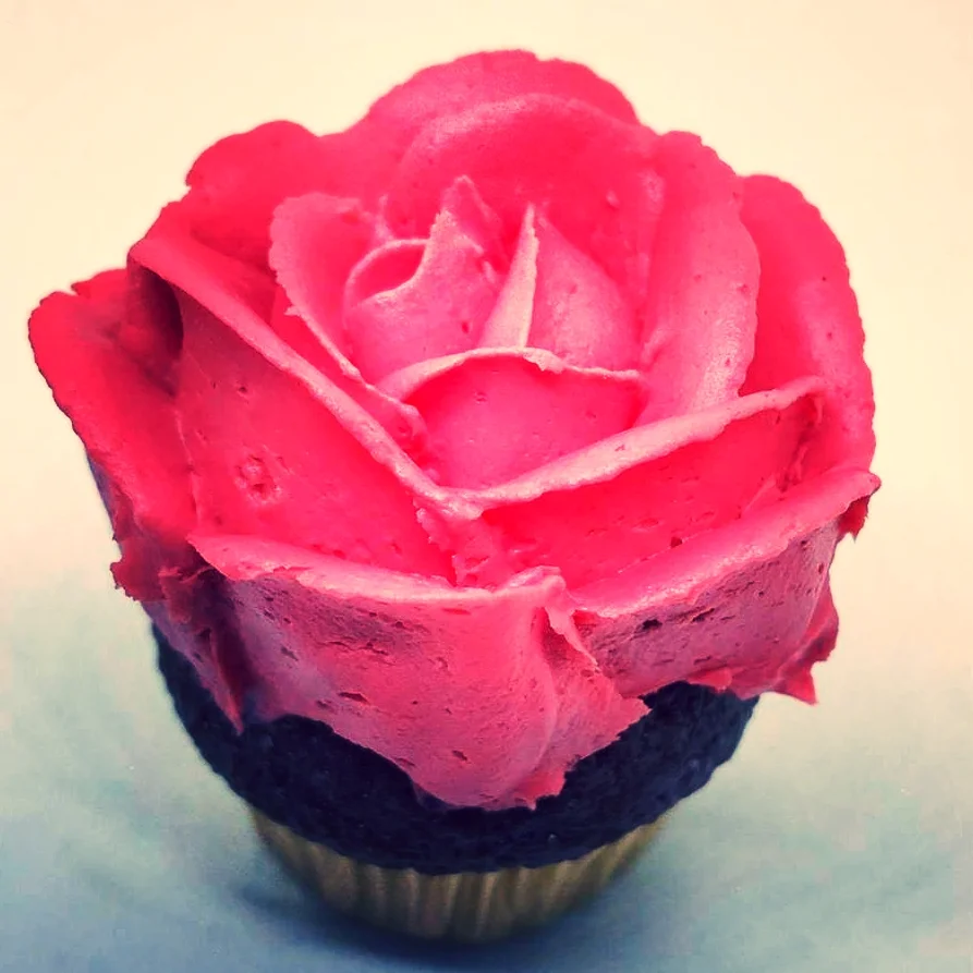 mugg cake for website.jpg