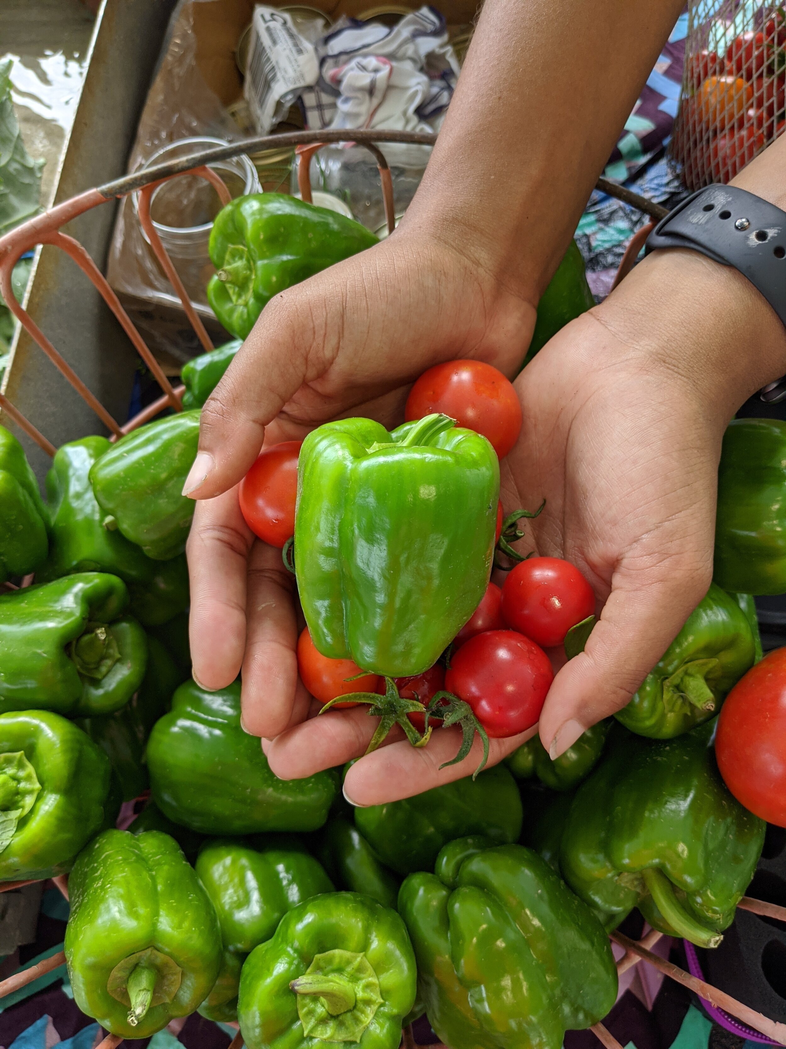 Brown's Farm bell peppers