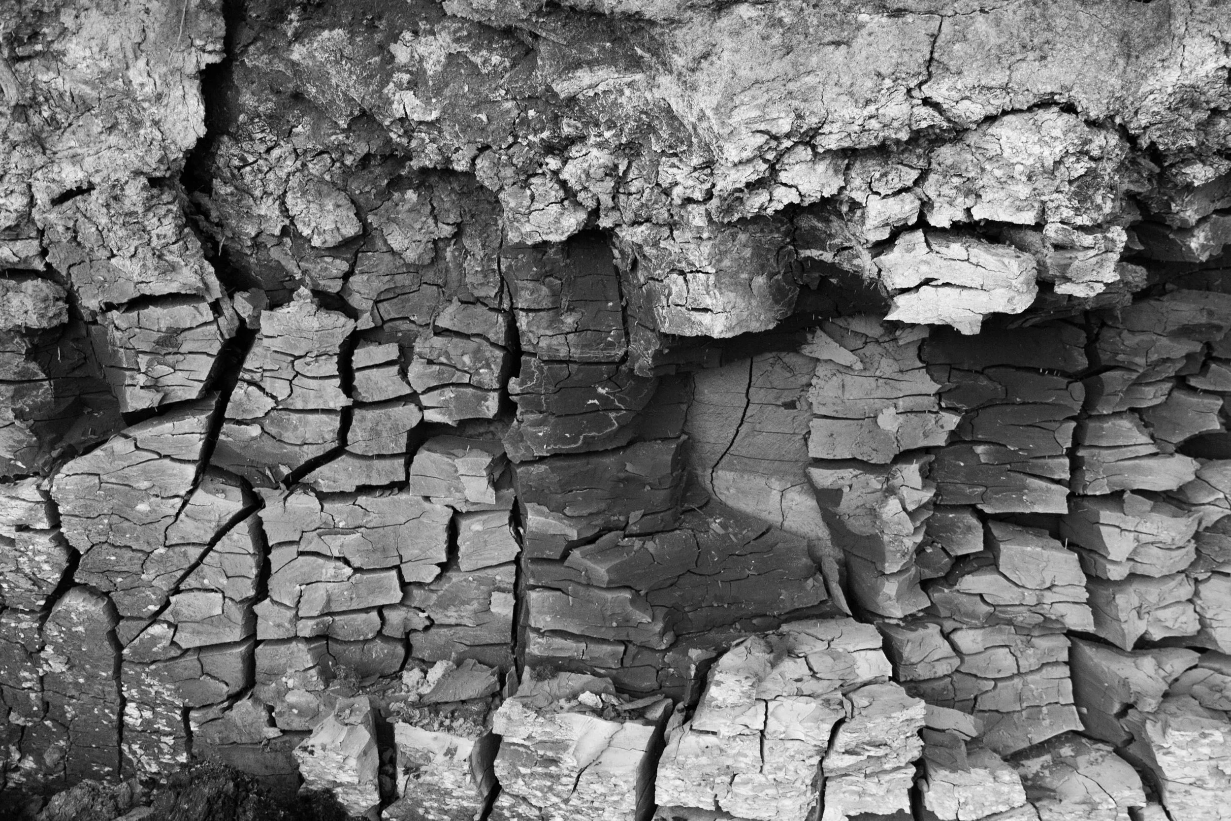 Media Background.jpg