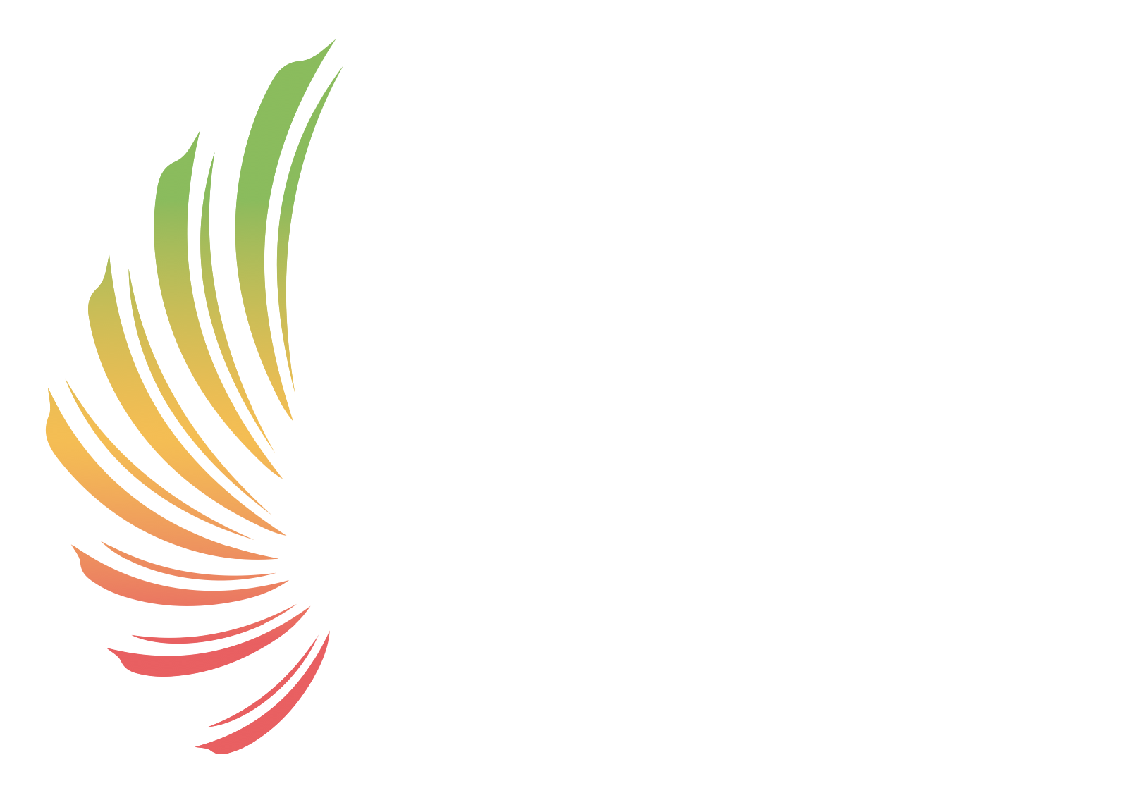 Mettle Global Holdings