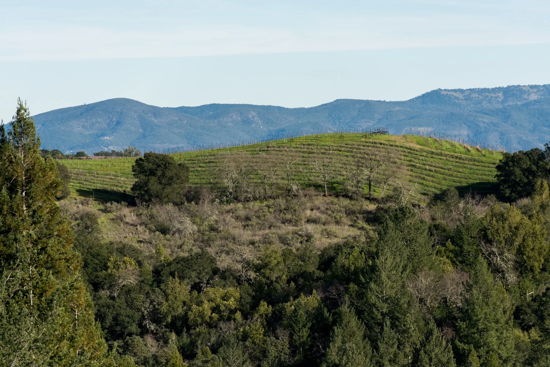 012817_MountVeeder_235.jpg