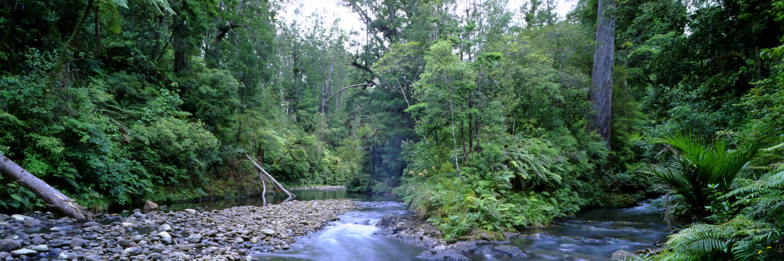 header-0-1600-0-533-crop.jpg