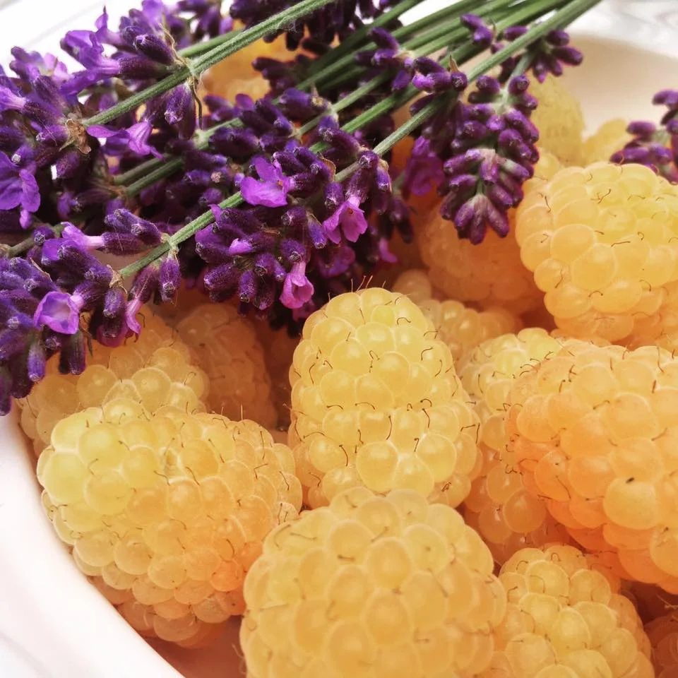 goldenraspberry.jpg