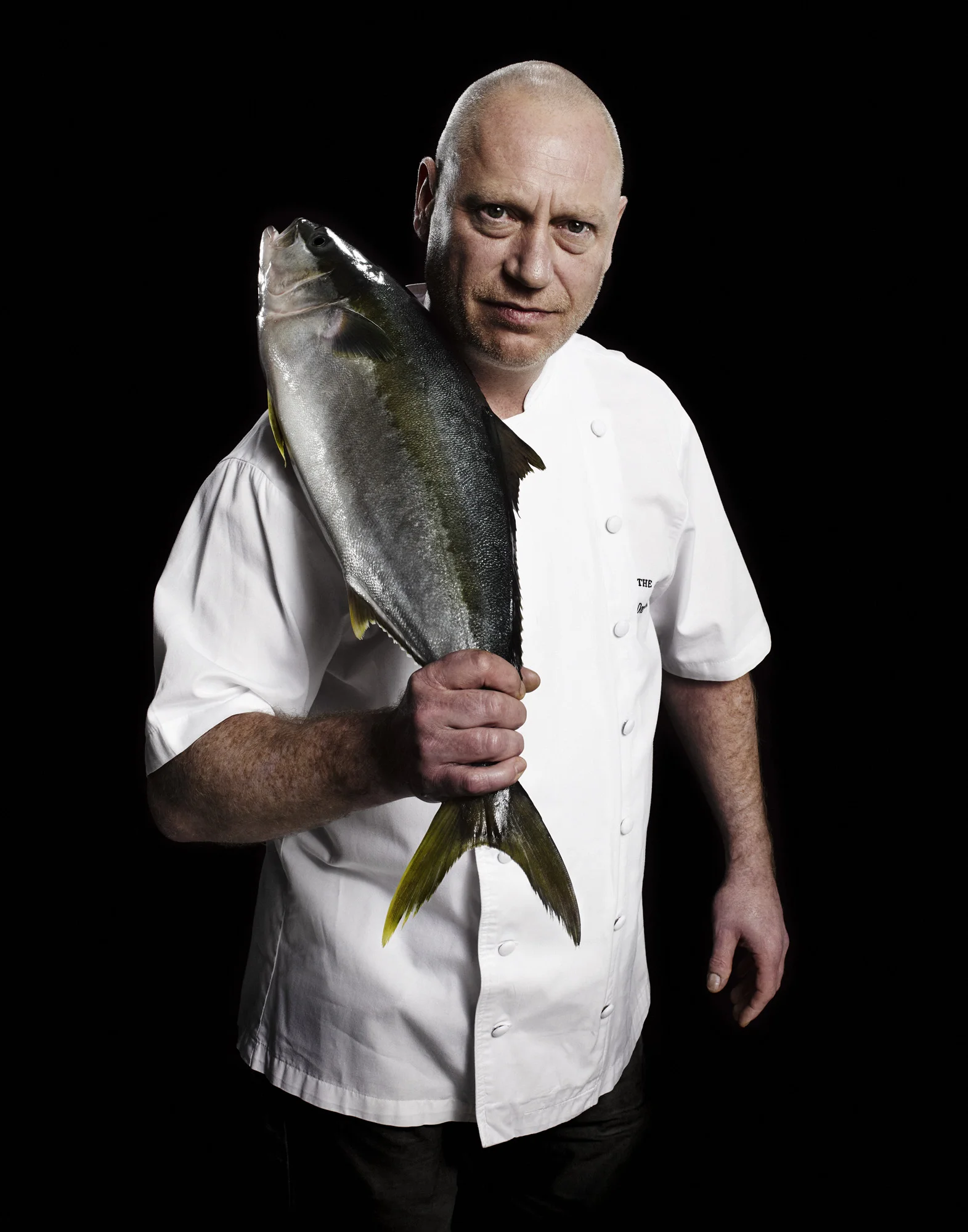 Hiramasa King Fish