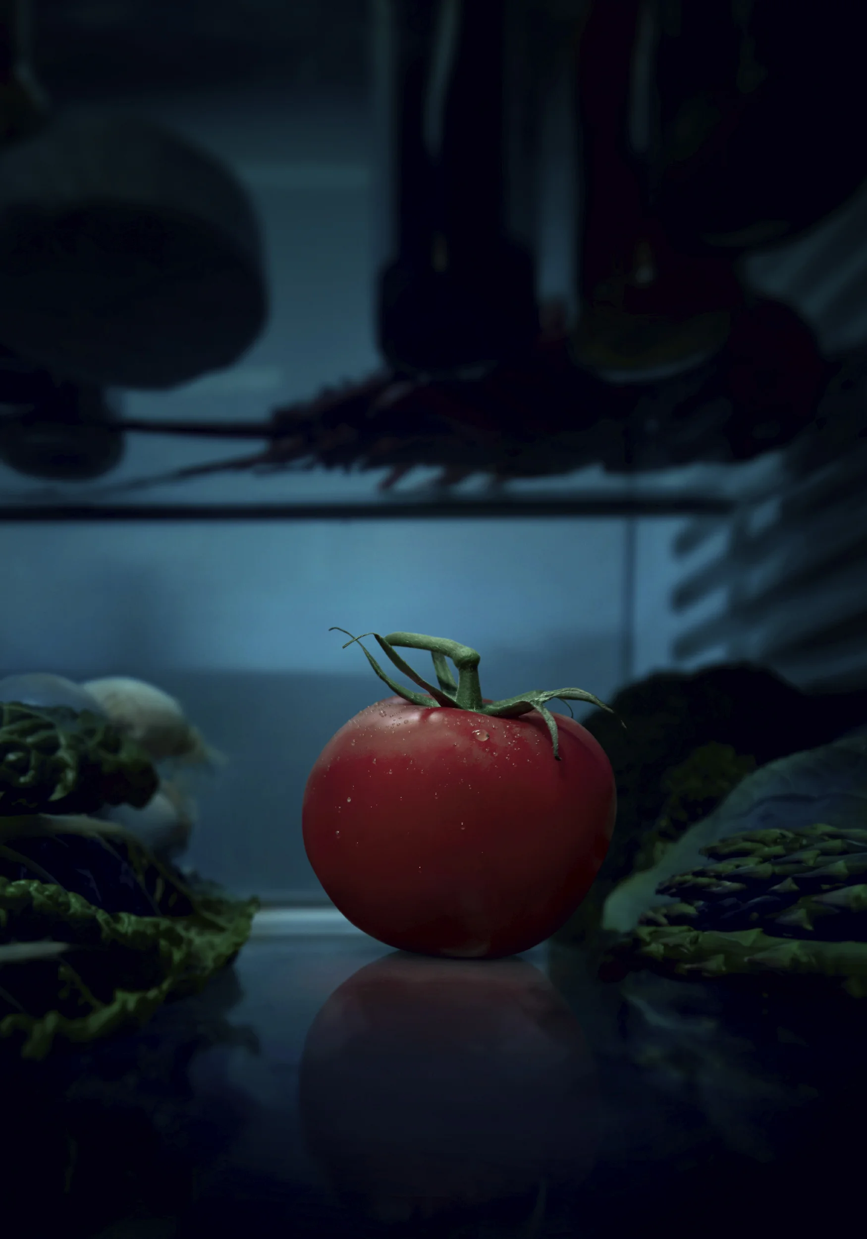 GIO INSURANCE TOMATO