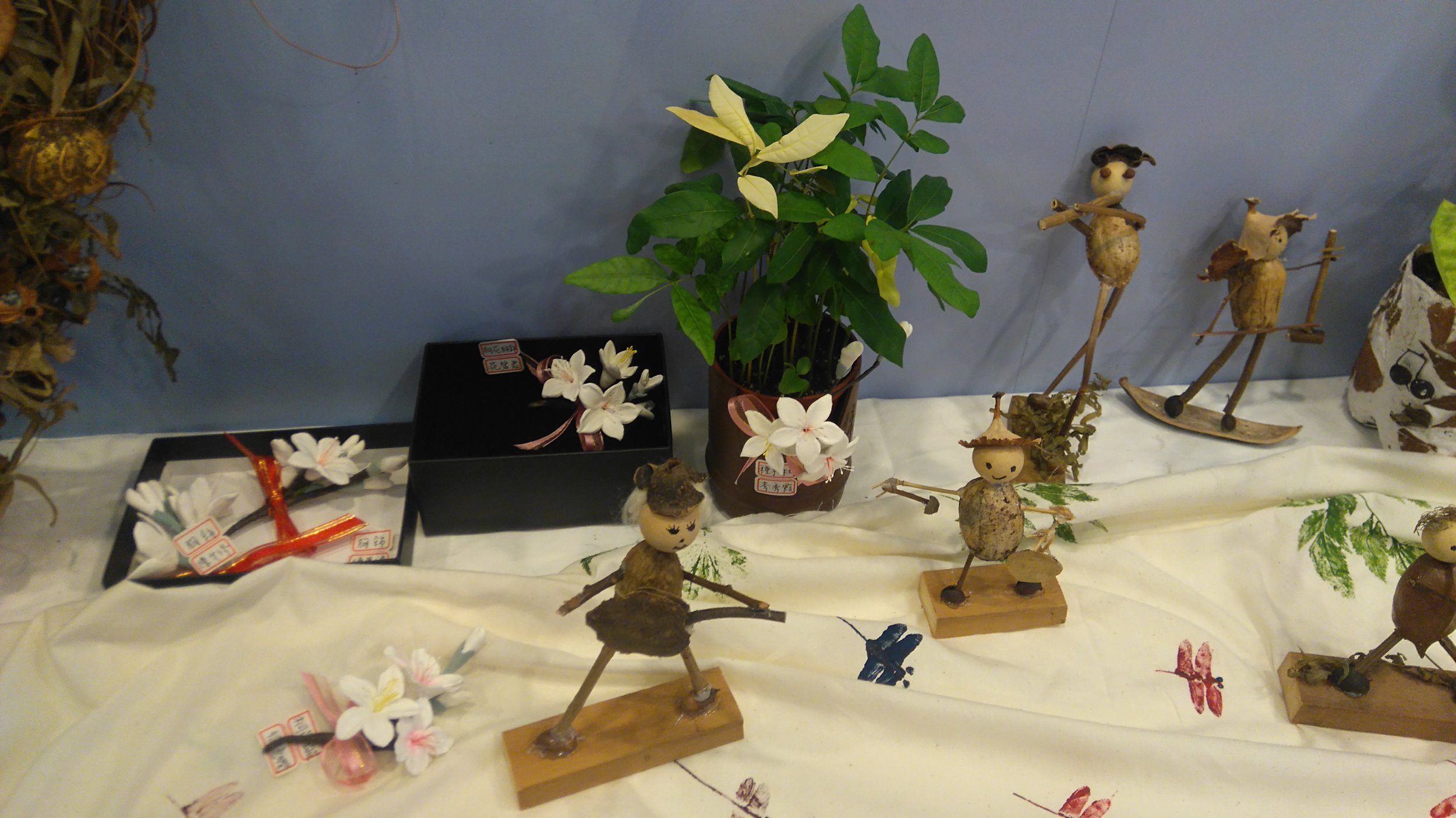 A-1客家植物應用DIY