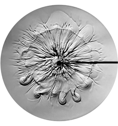 Tap water of moderate quality