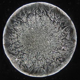 Cristal pattern of Sonett’s detergent additive 20fold enlarged