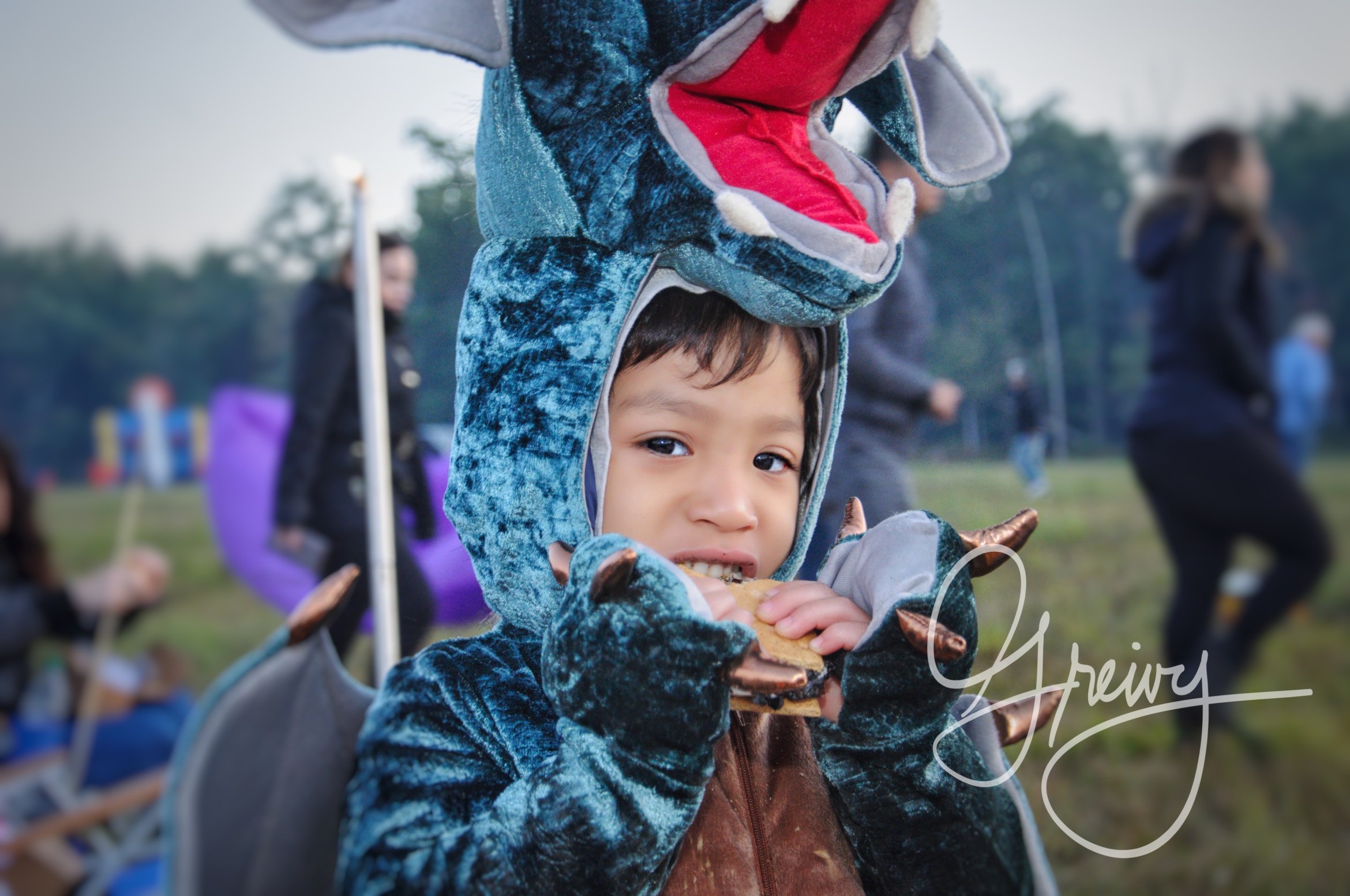 Greivy.com Lantern Festival - 7.jpg