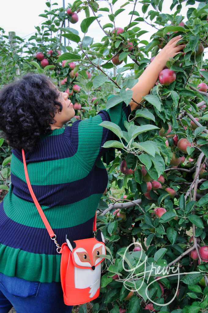 Greivy.com Hamptons Apple Picking - 12.png