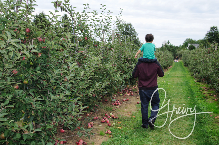 Greivy.com Hamptons Apple Picking - 27.png