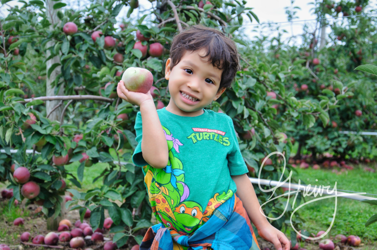 Greivy.com Hamptons Apple Picking - 31.png