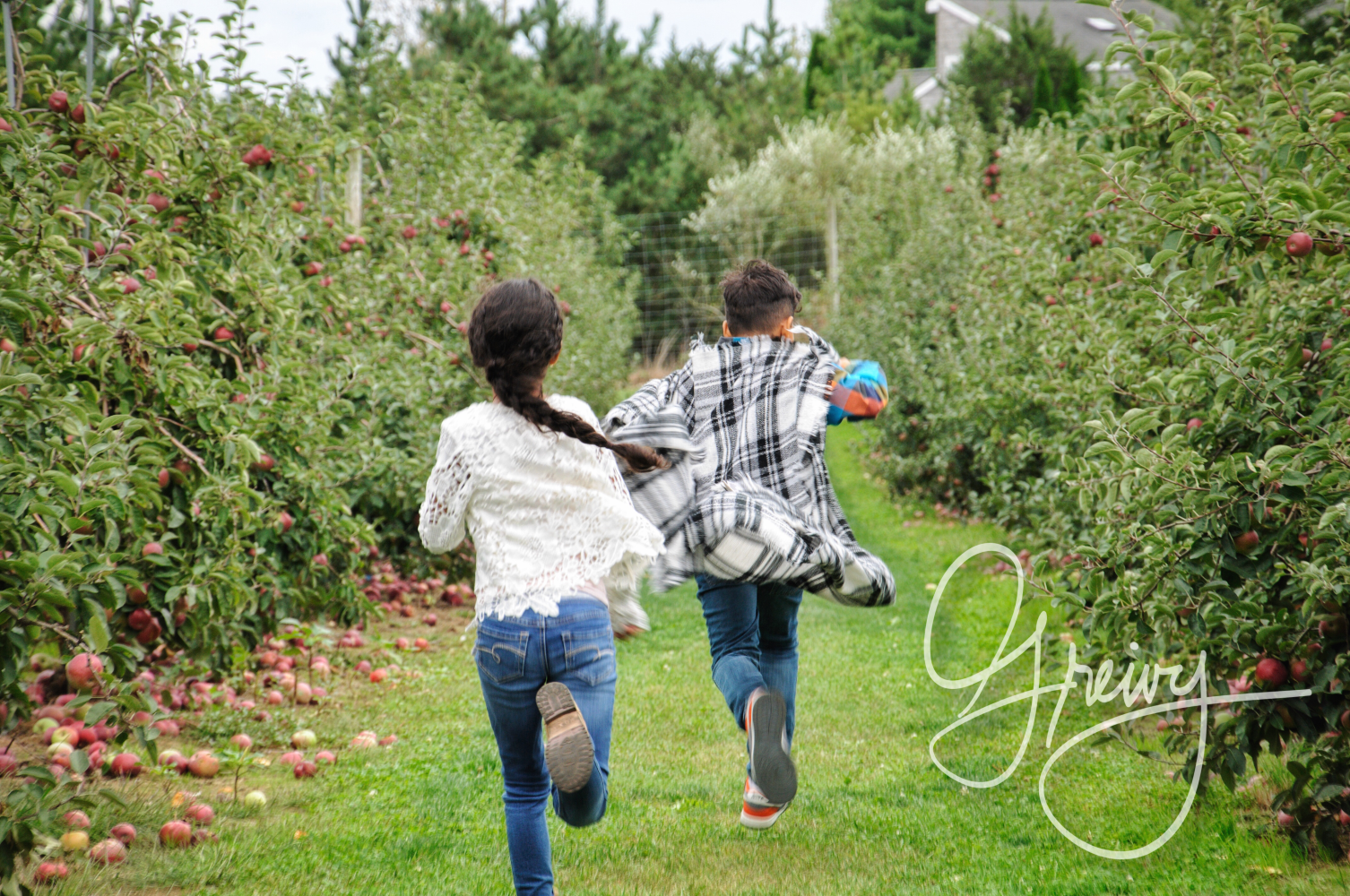 Greivy.com Hamptons Apple Picking - 33.png