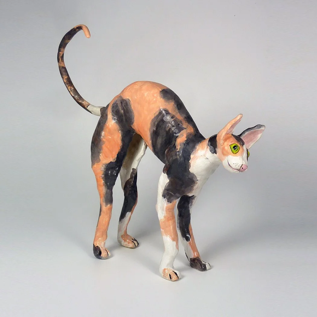 2011 Siamese Rex SQLoRes.jpg