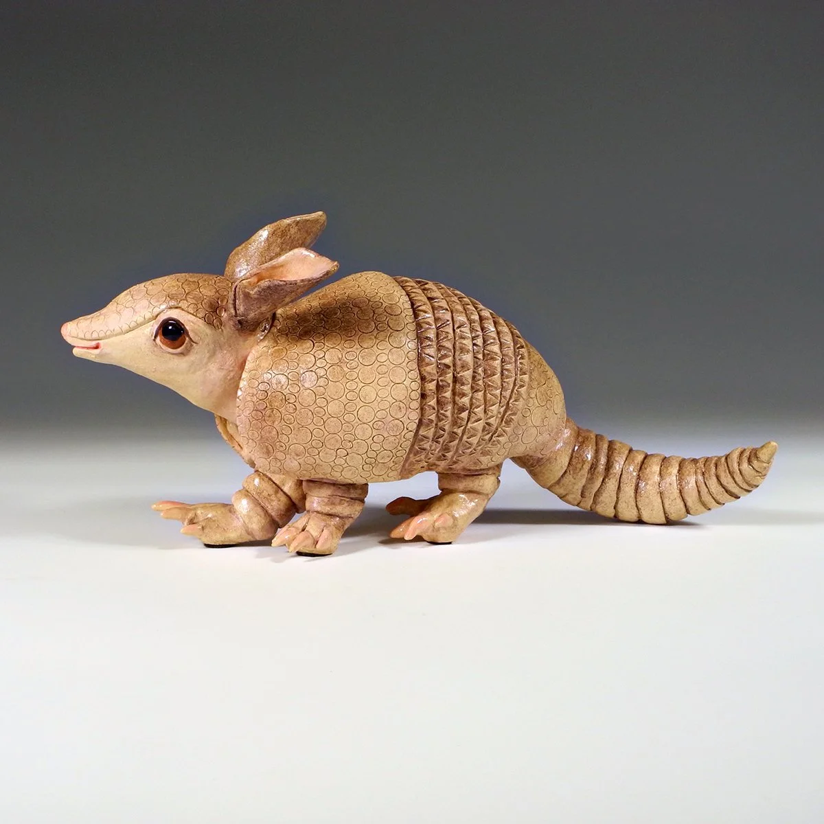 ANNIE5x6x12 Armadillo SQ LoRes V2.jpg