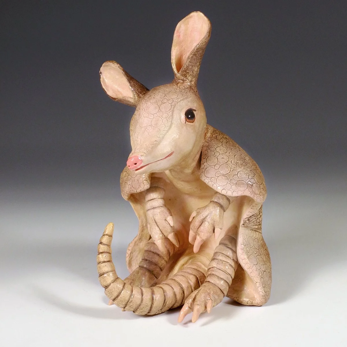 2021 Andy9x6x7 Armadillo SQ LoRes.jpg