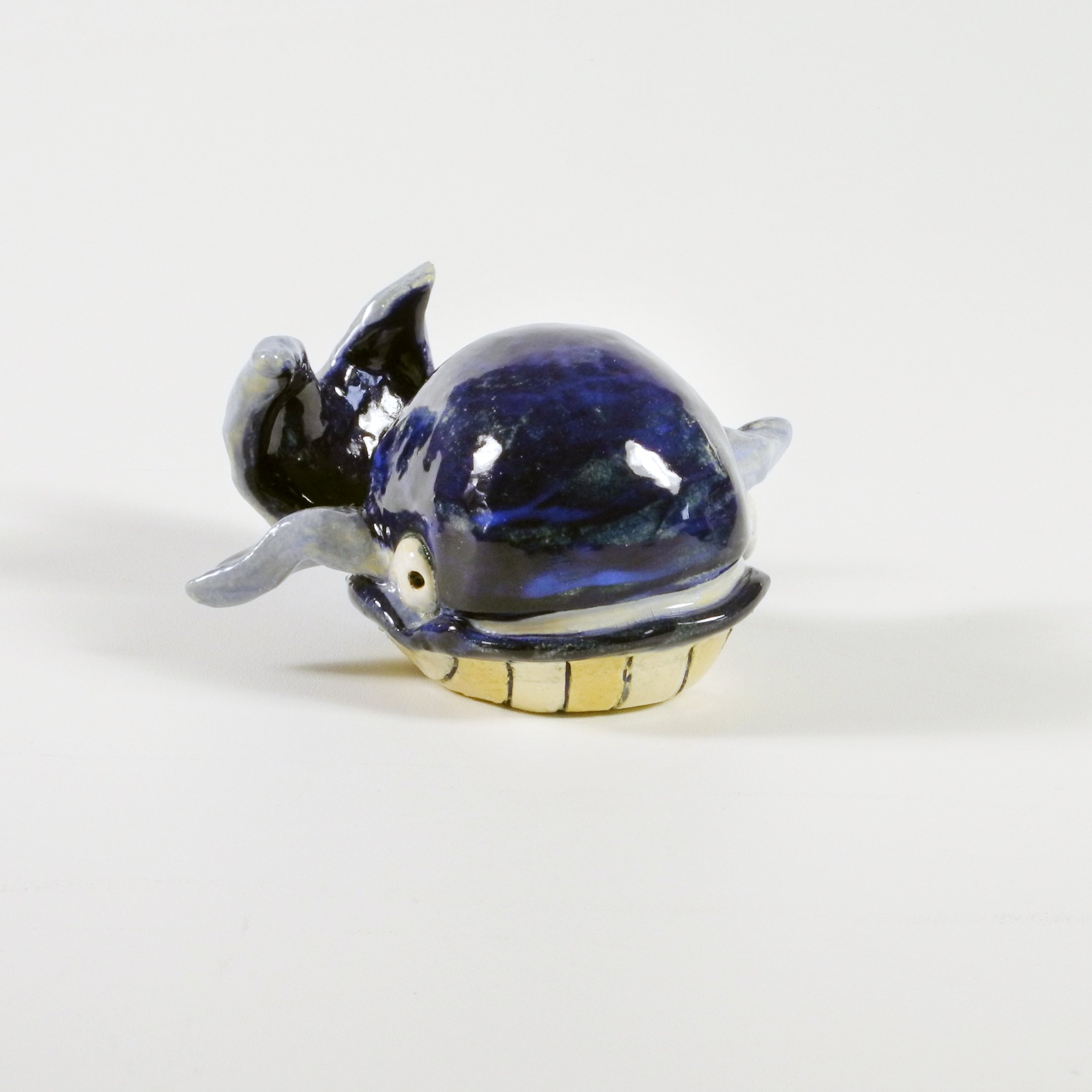 PAWBellacera Whale Front.jpg