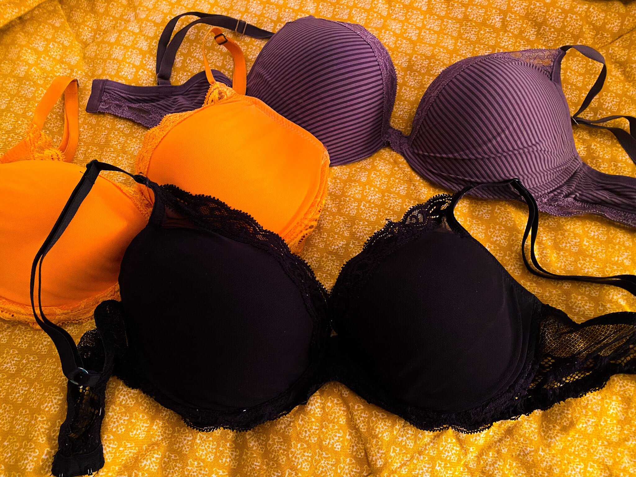 Natori Feathers: The Prettiest Bra You've Seen a Thousand Times — The Bug