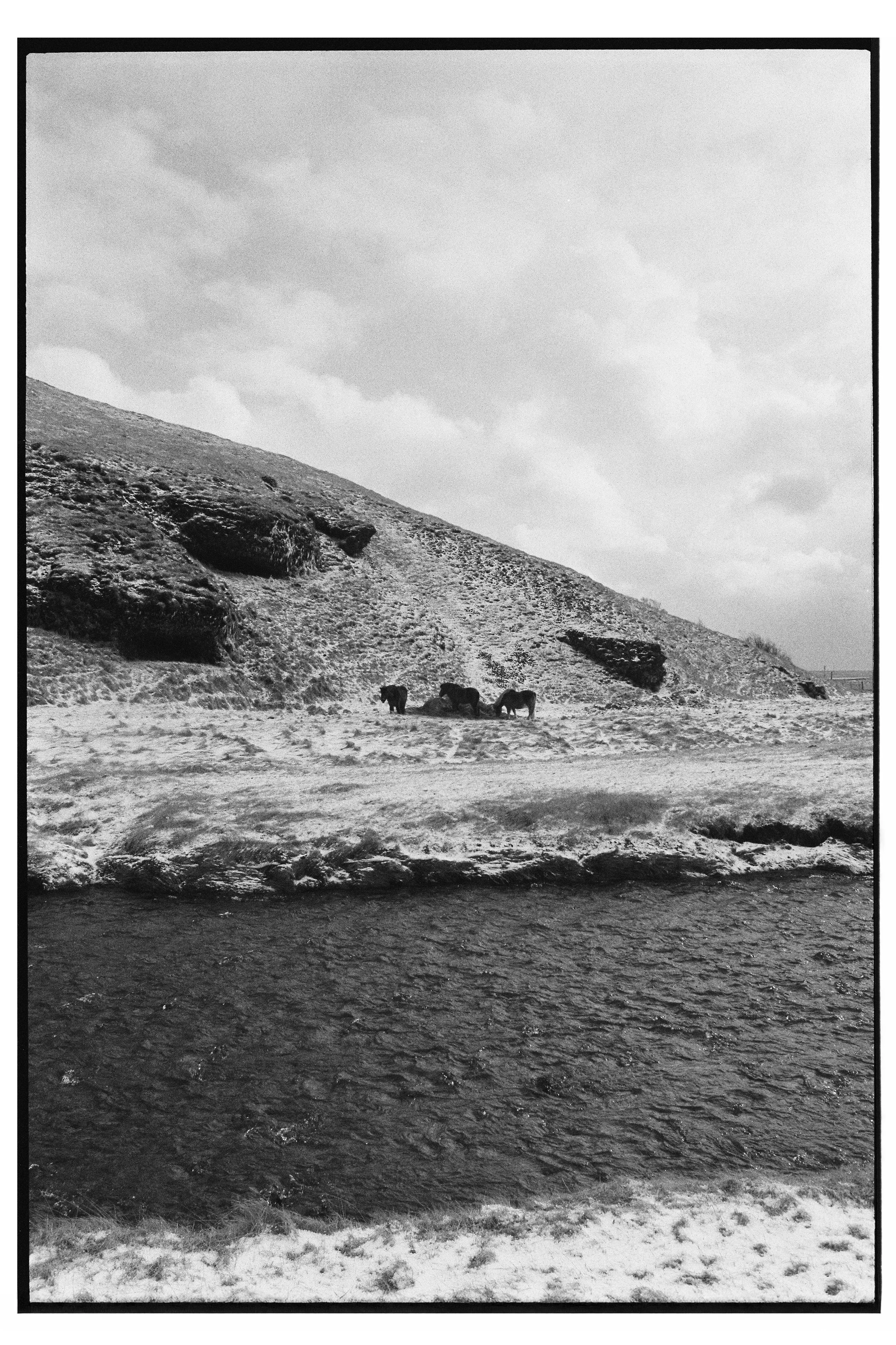 Uyanga&LarsIceland-14.jpeg