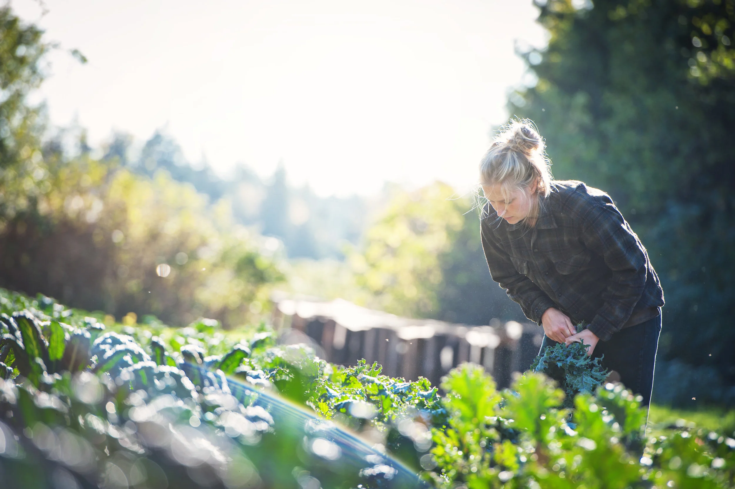 Copy of Multi-media feature story