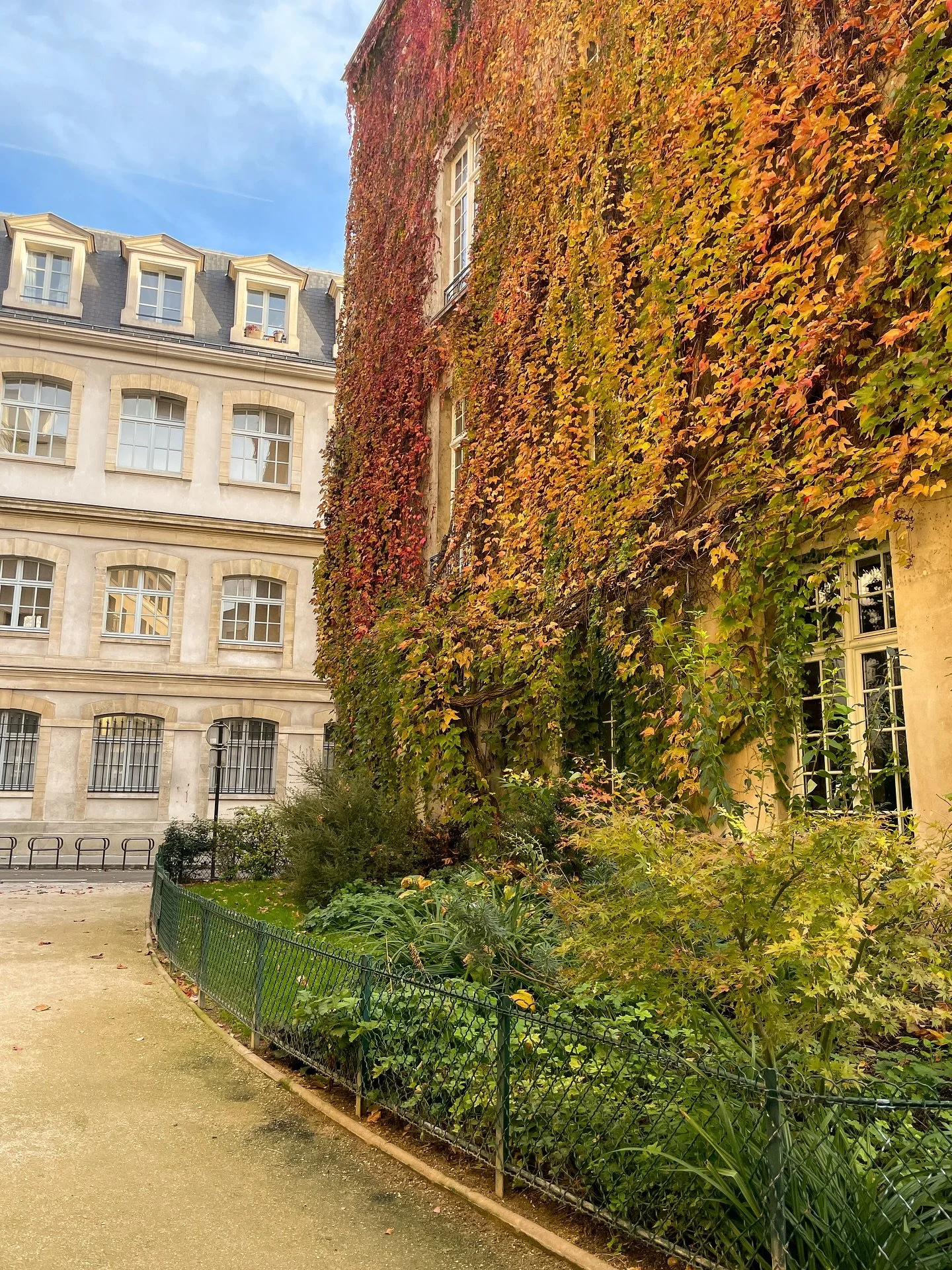 love Paris in the autumn 🍁 
November isn&rsquo;t always everyone&rsquo;s first month of choice to visit but if you can I recommend it as you can wander through autumn leaves, enjoy warm drinks in cafes and shorter lines at the monuments! And if you 