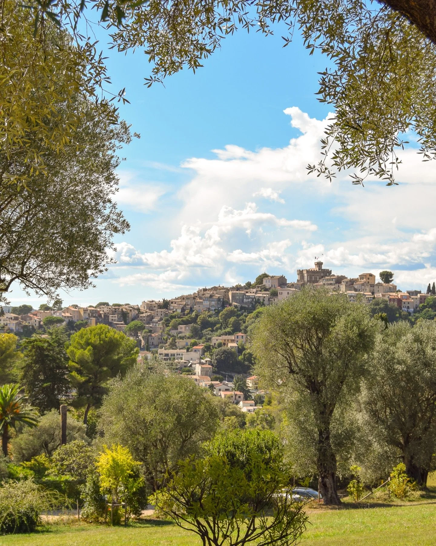 if you will be in Provence this summer I recommend going to Cagnes-Sur-Mer to visit Le Mus&eacute;e Renoir! These are the pretty gardens there filled with olive &amp; orange trees and the view from the museum, which is inside the house that Auguste R