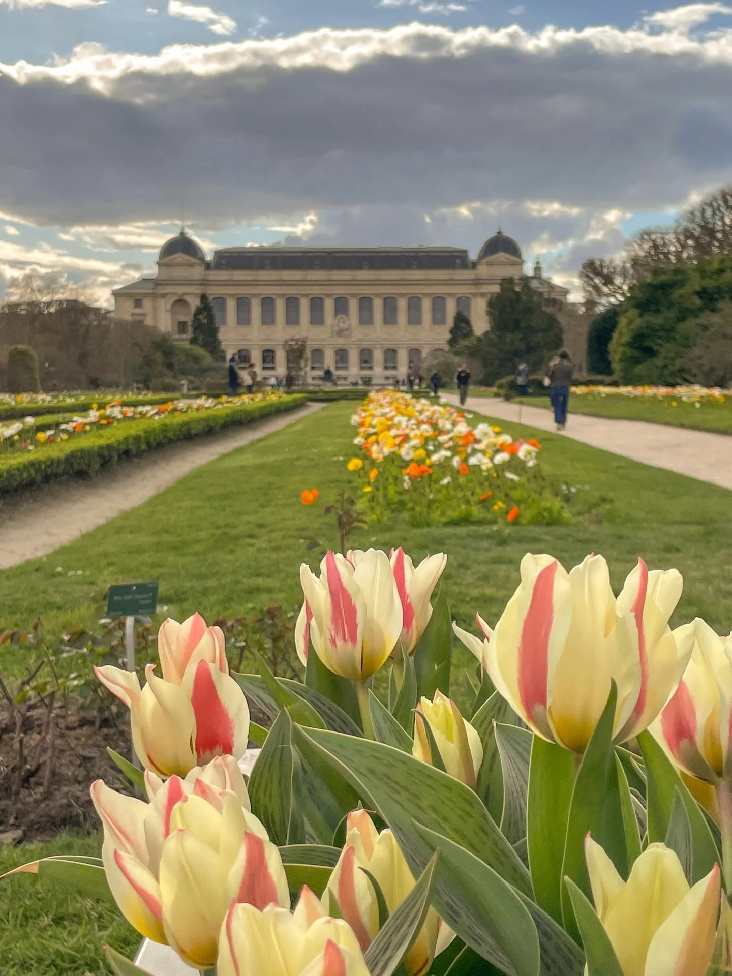 love that it has been such a warm early spring for the last few weeks in Paris with many days 18/65 degrees &amp; sunny with no jacket needed! ✨ 

This is one of my favourite parks/jardins in Paris - it&rsquo;s the Jardin des Plantes in the 5th arron