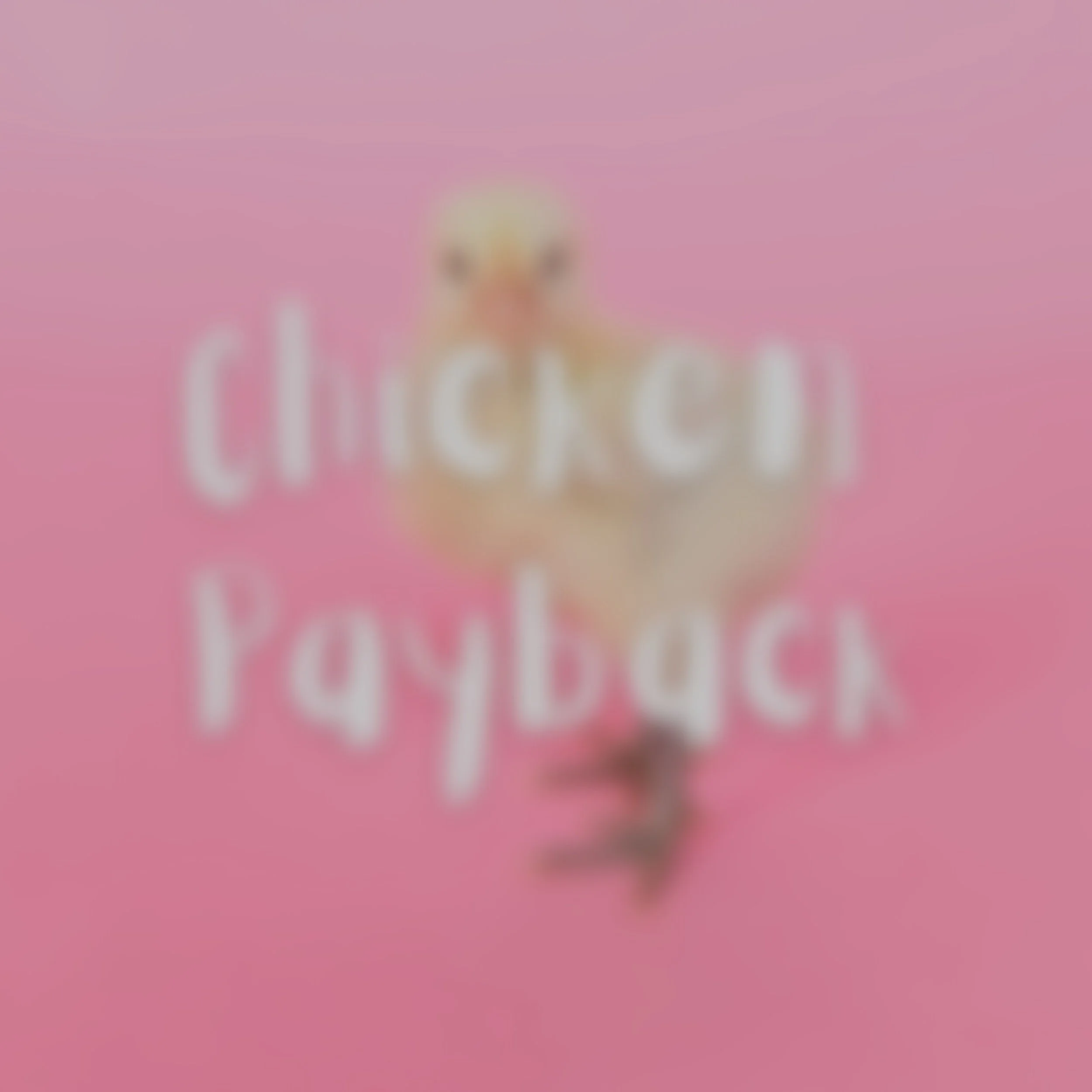 Shaker+Sisters_Chicken+Payback_2020.jpg