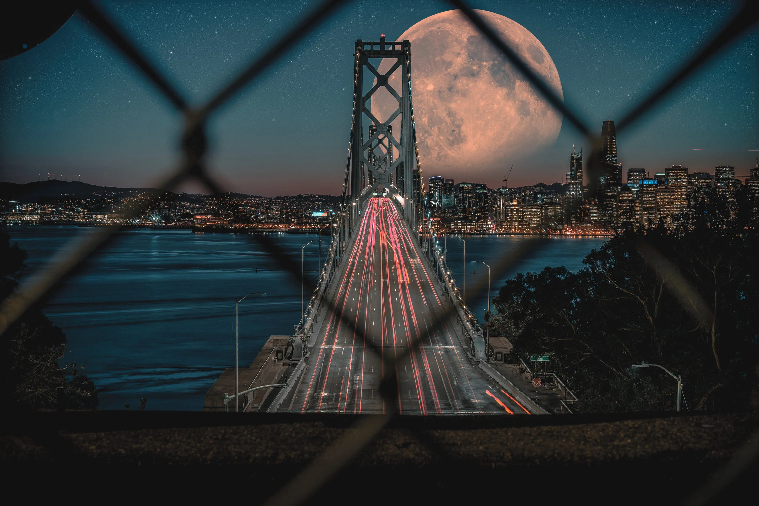 Too Fast to See
