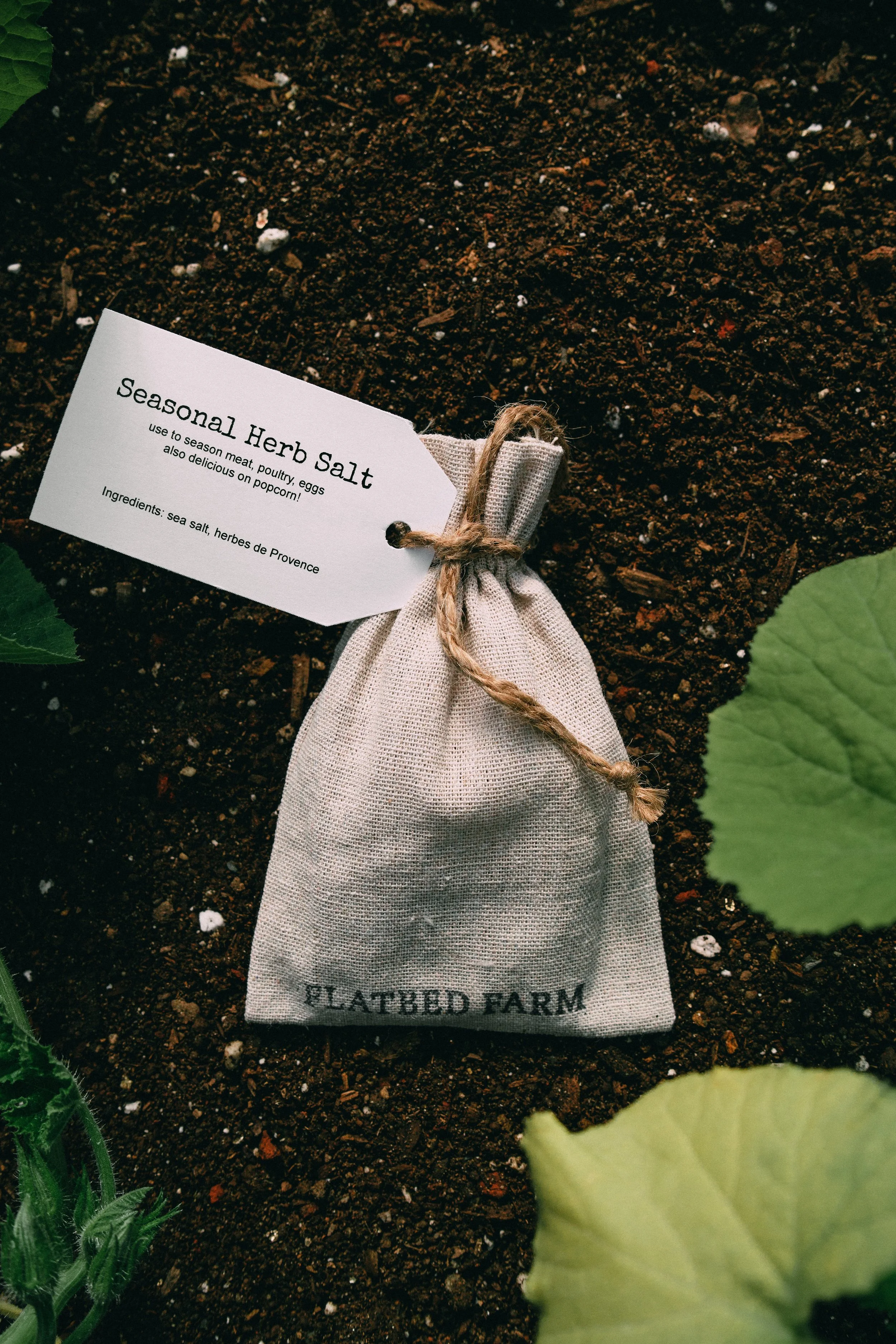 Plant Starts and Tea! (34 of 35).jpg