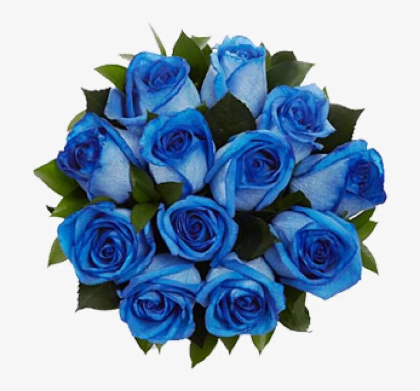 115-1153114_blue-rose-bouquet-bouquet-blue-roses.png.jpeg