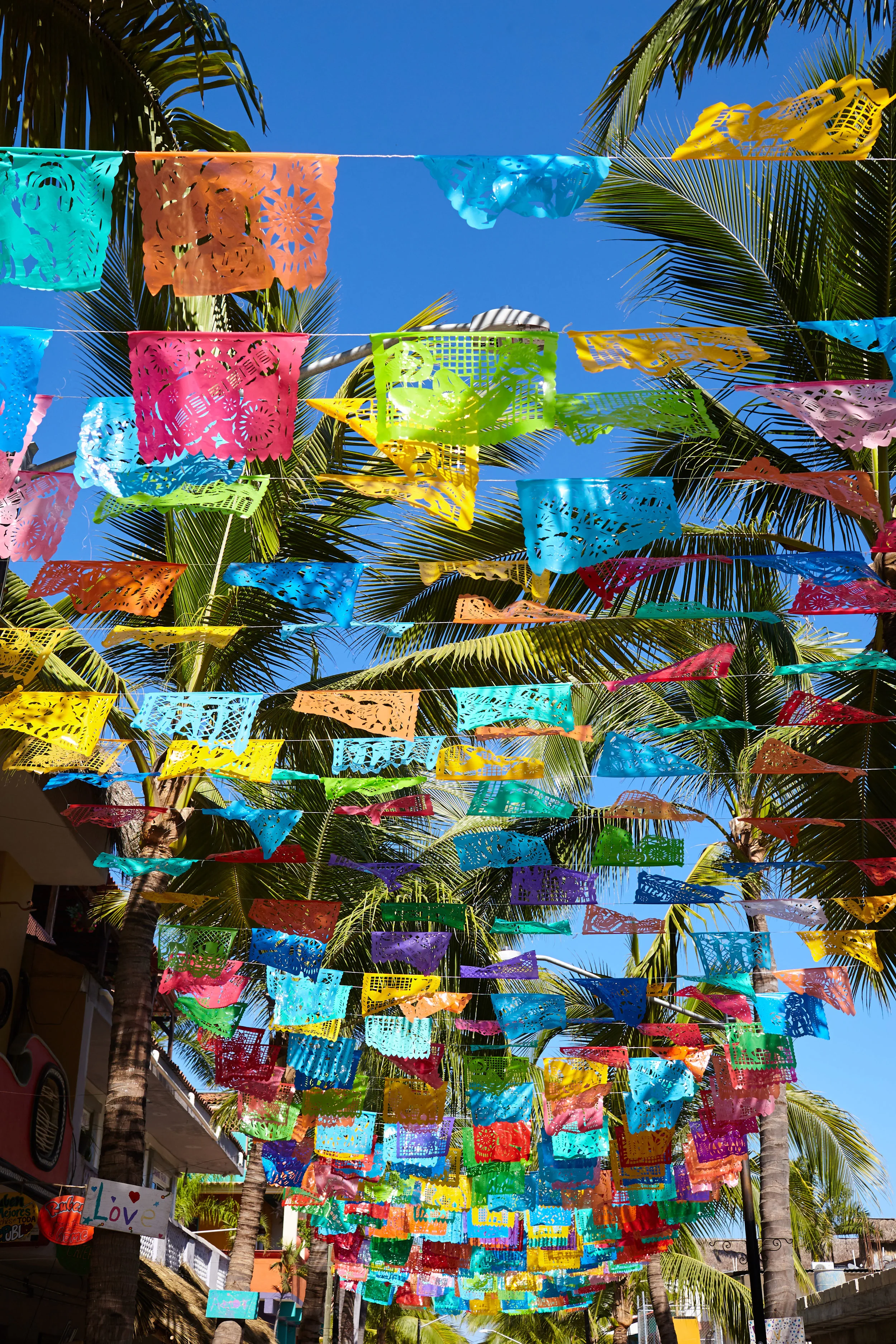 Puerto Vallarta- IMG_0434ps.jpg