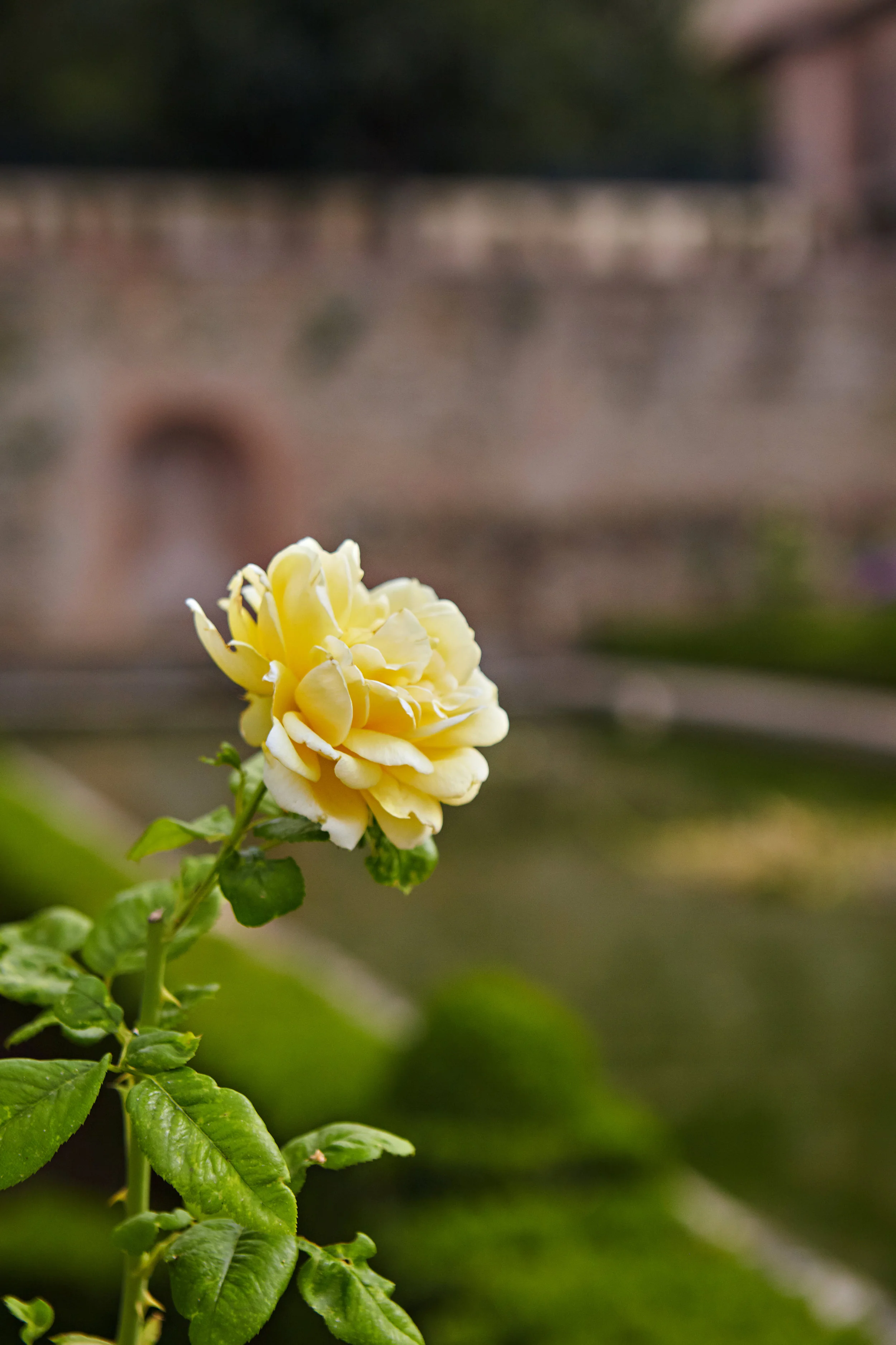 Granada- IMG_7976-JG.jpg