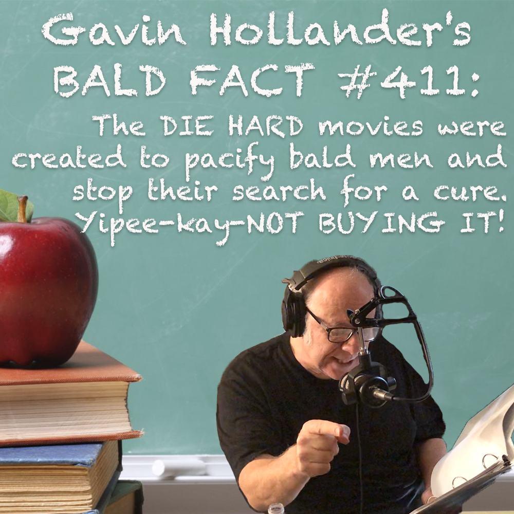 BOTB - Gavin Hollander Bald Facts 411.png