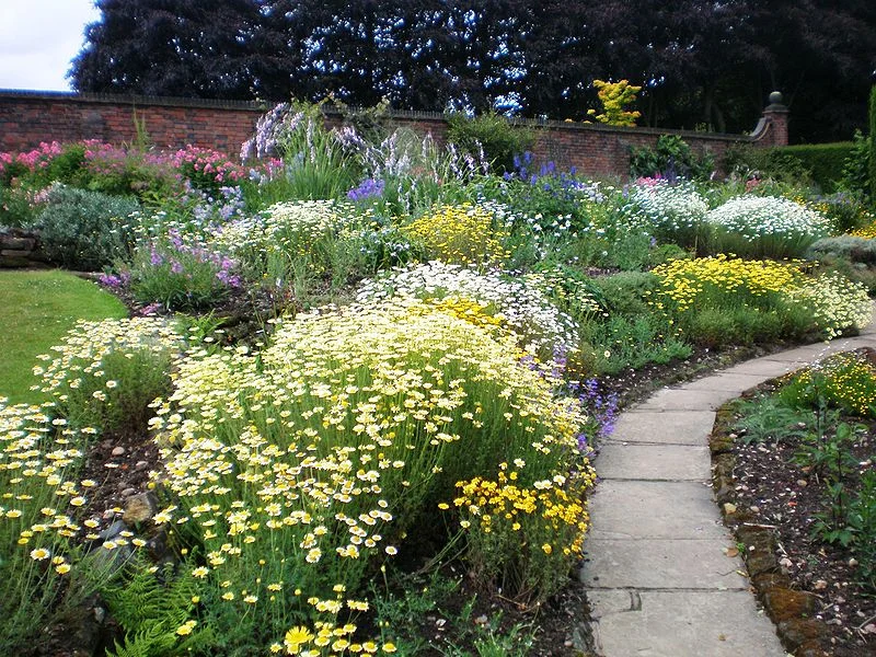 800px-Winterbourne_Botanic_Garden.JPG.jpeg