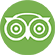 tripadvisor