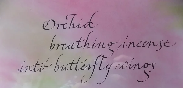 Pink Orchid.jpg