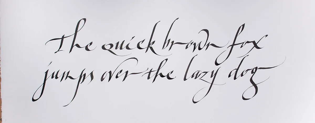 The quick brown fox Gaynor Goffe.jpg