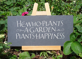 gallery-garden.jpg