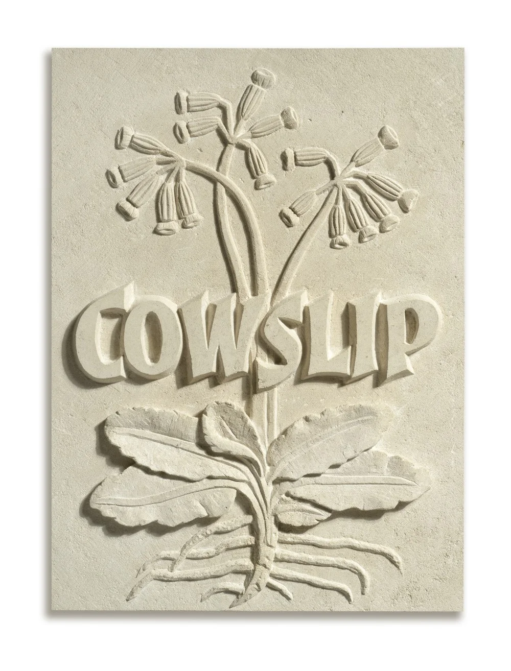 Cowslip.jpg
