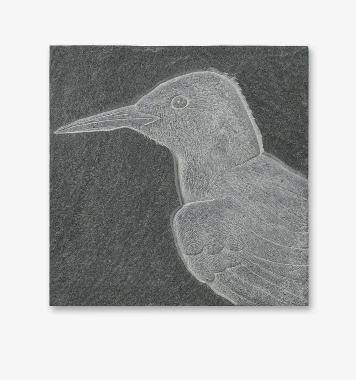 The Roseate Tern by Tanja Bolenz