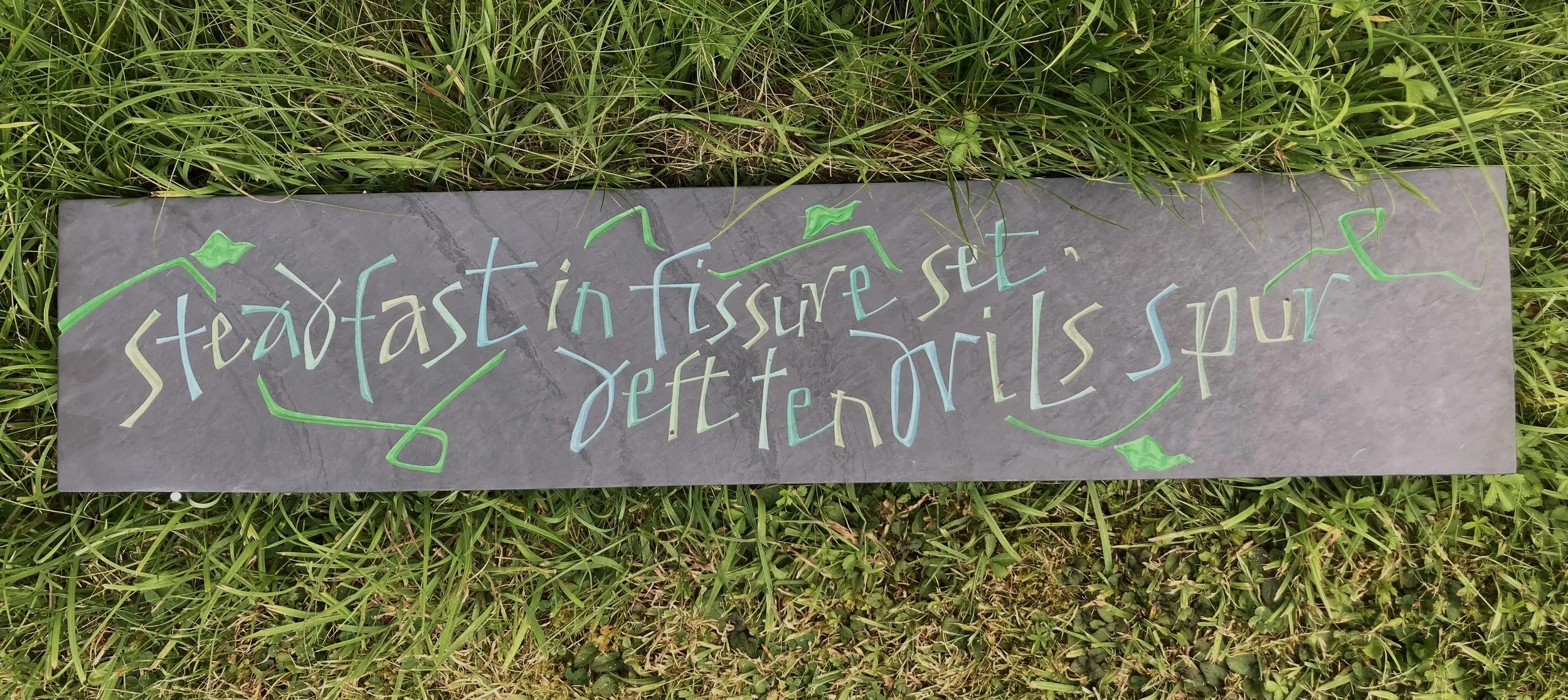 Steadfast in fissure set, deft tendrils spur by Sue Aperghis