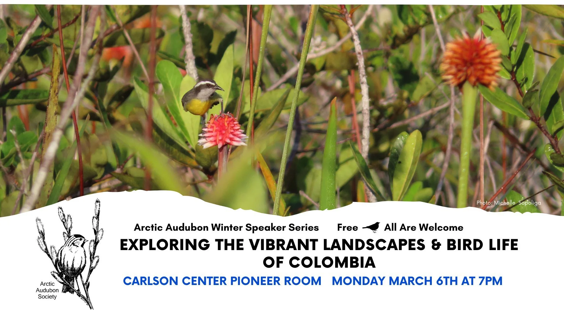 Exploring the Vibrant Landscapes and Bird Life of Colombia
